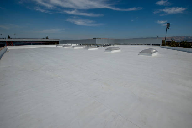 Best Solar Panel Roofing Installation  in Splendora, TX