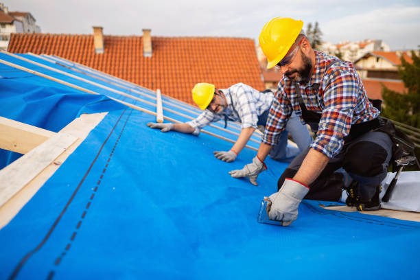 Best Gutter Replacement  in Splendora, TX