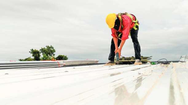 Best Roof Ventilation Installation  in Splendora, TX